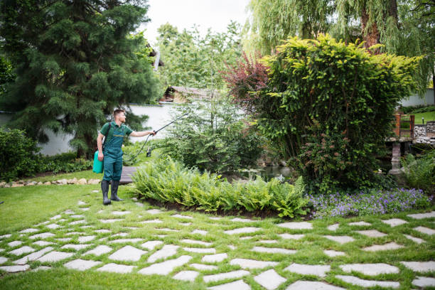 Best Pest Prevention Services  in Seattle, WA