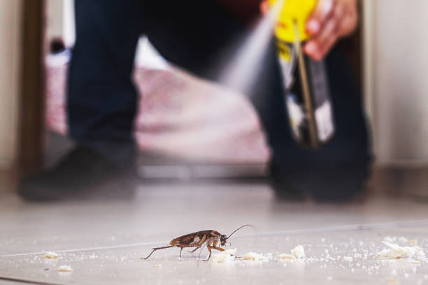 Seattle, WA Pest Control Company