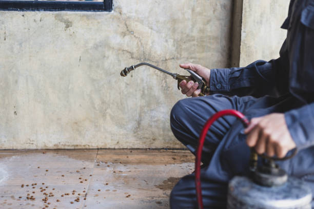 Best Mosquito Control Services  in Seattle, WA