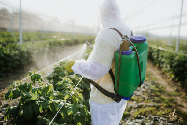 Best Best Pest Control Companies  in Seattle, WA